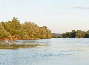 Zdjęcie poglądowe rzeki Bug