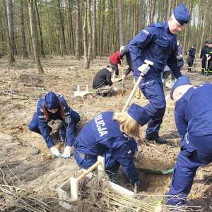 Zdjęcie policjantów sadzących las