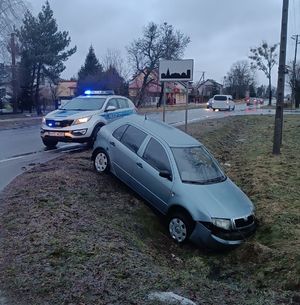 samochód skoda w rowie