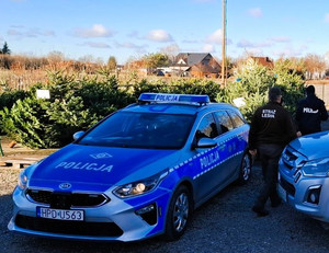 policjanci i strażnicy leśni kontrolują sprzedaż choinek