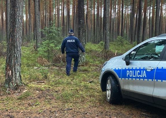 zdjęcie poglądowe poszukiwania w lesie