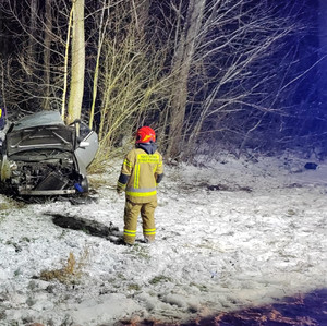 Audi z uszkodzeniami przy drzewach obok strażak
