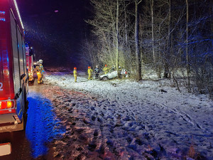 audi  z uszkodzeniami przy drzewach obok funkcjonariusze Straży Pożarnej