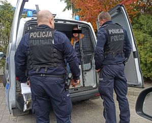 zatrzymany mężczyzna siedzący w radiowozie, obok stoją policjanci